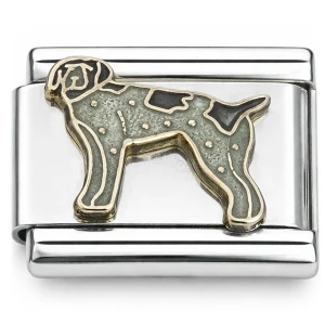 German Pointer Puppy Dog Italian Charm
