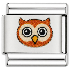 Owl Face Value Italian Charm