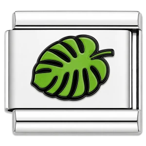 House Plant Monstera Leaf Value Italian Charm