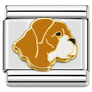 Dog Brown And White Italian Charm