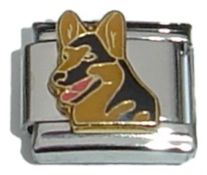 German Shepherd Dog Italian Charm