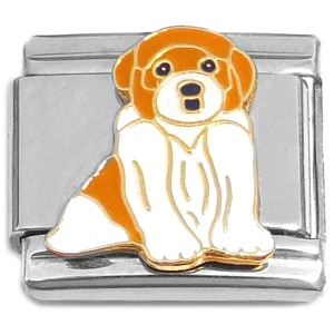 Saint Bernard Puppy Dog Italian Charm