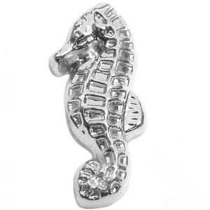 Seahorse Floating Locket Charm Seahorse Floating Locket Charm
