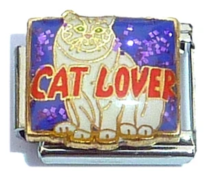 Cat Lover Italian Charm
