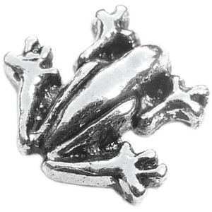 Frog Floating Locket Charm Frog Floating Locket Charm