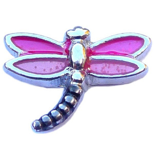 Pink Dragonfly Floating Locket Charm Pink Dragonfly Floating Locket Charm