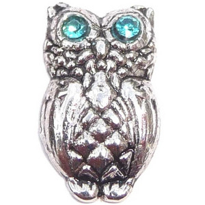 Owl With Aqua Eyes Floating Locket Charm