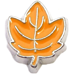 Leaf Floating Locket Charm Leaf Floating Locket Charm