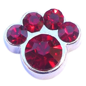 January Paw Floating Locket Charm January Paw Floating Locket Charm