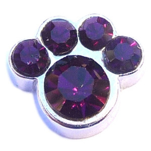 February Paw Floating Locket Charm February Paw Floating Locket Charm