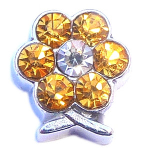 November Flower Floating Locket Charm November Flower Floating Locket Charm