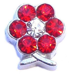 July Flower Floating Locket Charm July Flower Floating Locket Charm