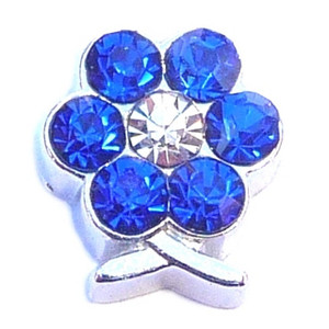 September Flower Floating Locket Charm