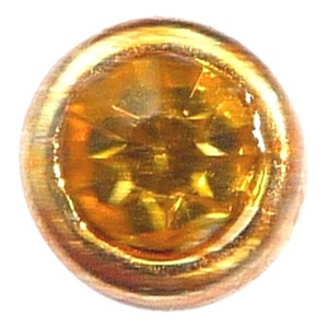 November Goldtone Bezel Floating Locket Charm November Goldtone Bezel Floating Locket Charm