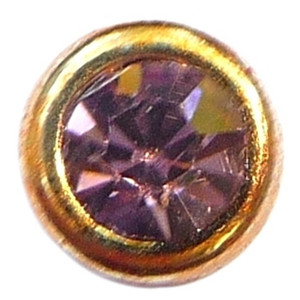 June Goldtone Bezel Floating Locket Charm June Goldtone Bezel Floating Locket Charm