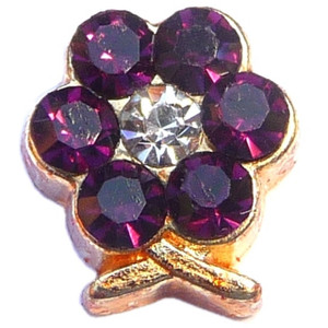 February Flower Goldtone Floating Locket Charm February Flower Goldtone Floating Locket Charm