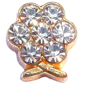 April Flower Goldtone Floating Locket Charm April Flower Goldtone Floating Locket Charm