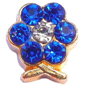 September Flower Goldtone Floating Locket Charm September Flower Goldtone Floating Locket Charm