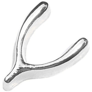 Wishbone Floating Locket Charm