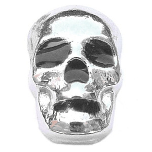 Skull Floating Locket Charm Skull Floating Locket Charm