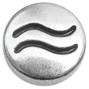 Vintage Silvertone Aquarius Floating Locket Charm