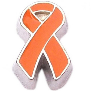 Orange Ribbon Floating Locket Charm Orange Ribbon Floating Locket Charm