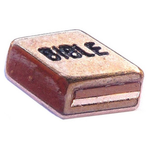 Rose Goldtone Bible Floating Locket Charm Rose Goldtone Bible Floating Locket Charm