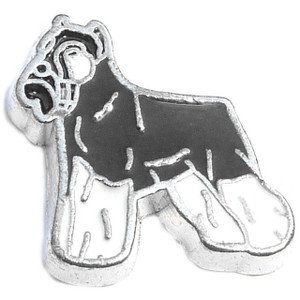 Schnauzer Floating Locket Charm Schnauzer Floating Locket Charm