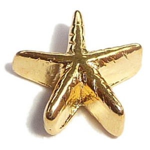 Goldtone Starfish Sea Star Floating Locket Charm