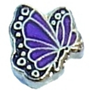 February Butterfly Silvertone Floating Locket Charm