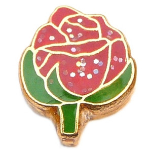 Red Rose Goldtone Trim Floating Locket Charm Red Rose Goldtone Trim Floating Locket Charm