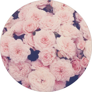 Pink Flowers Medical Pill Box