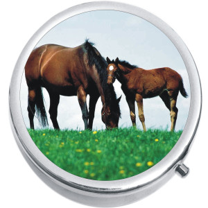 Brown Horses Medical Pill Box