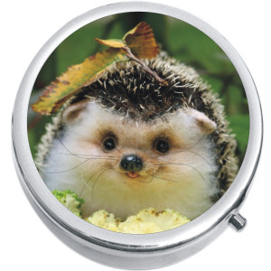 Hedgehog Medical Pill Box