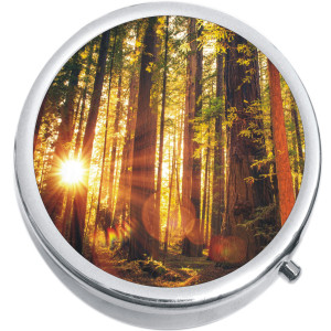 Forest Trees Sun Medical Pill Box