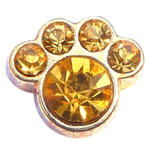 November Paw Goldtone Floating Locket Charm November Paw Goldtone Floating Locket Charm