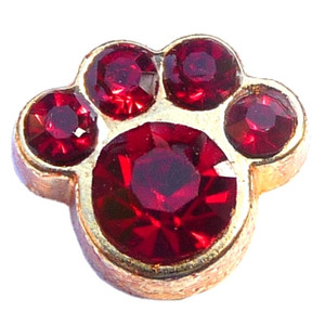 January Paw Goldtone Floating Locket Charm January Paw Goldtone Floating Locket Charm