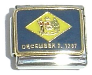 Delaware State Flag Italian Charm