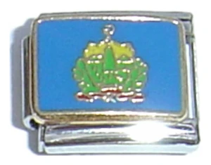 Vermont State Flag Italian Charm