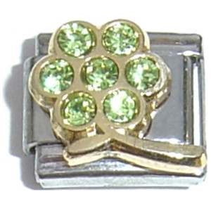 August Big Flower Italian Charm