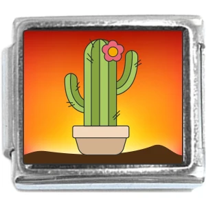Cactus in Pot Italian Charm