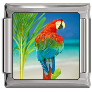 Parrot Italian Charm Parrot Italian Charm