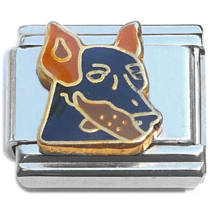 German Shepherd Dog Italian Charm
