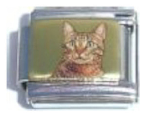 Cat Picture Italian Charm Cat Picture Italian Charm