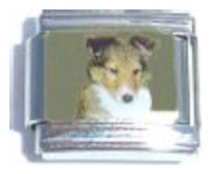 Dog Picture Italian Charm