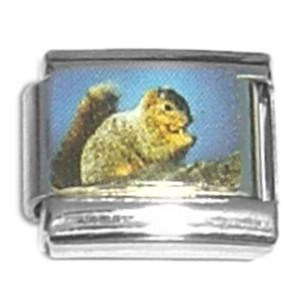 Squirrel Italian Charm
