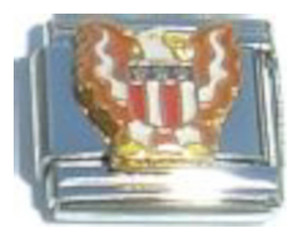 USA Patriotic Eagle Italian Charm USA Patriotic Eagle Italian Charm