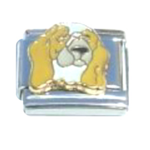 Dog Brown And White Italian Charm