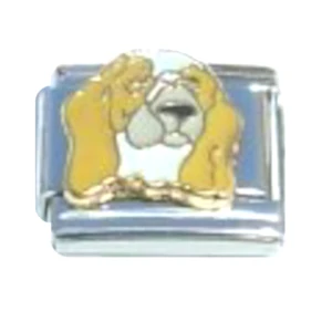 Dog Brown And White Italian Charm