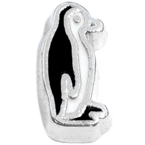 Penguin Floating Locket Charm Penguin Floating Locket Charm
